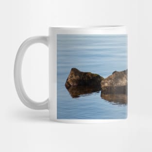 Rocks and Reflection, Bayfront Park Mug